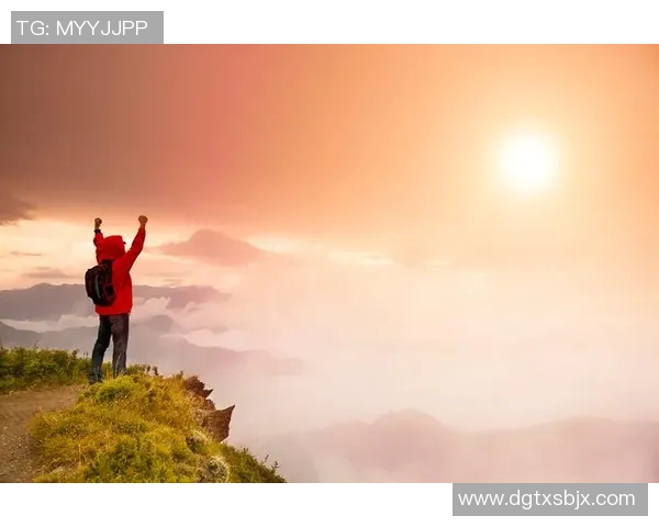 聚焦总冠军荣耀之路：从起步到巅峰的挑战与突破