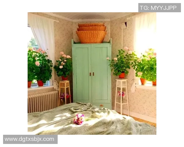 打造温馨舒适的家居环境，提升生活品质与居住体验的10个实用技巧